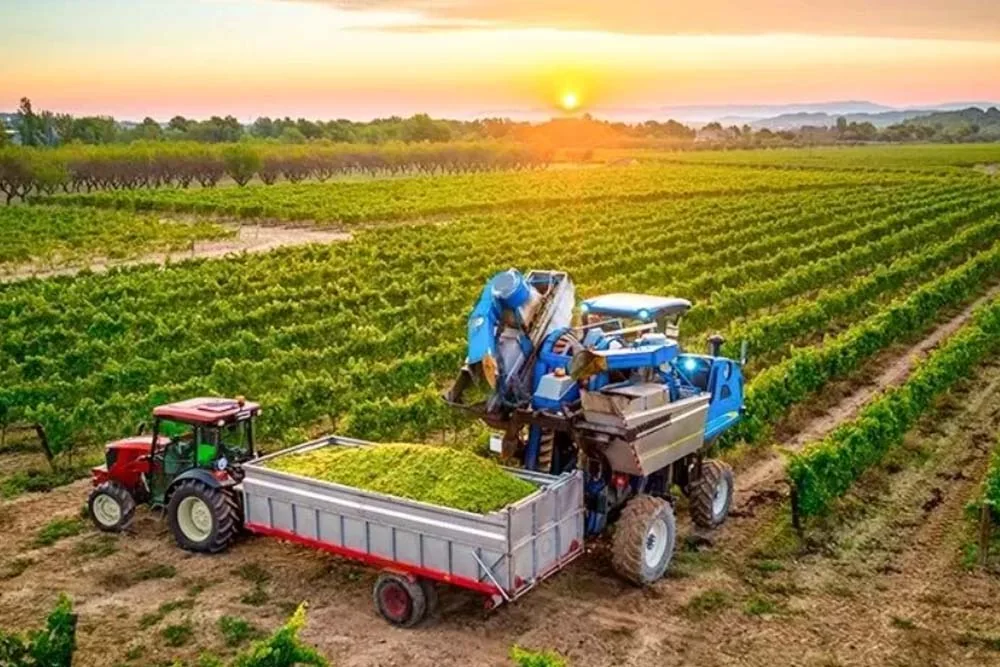 Contabilidade para o agronegócio em Goiás: LCDPR, gestão por safra, custos e sucessão no campo