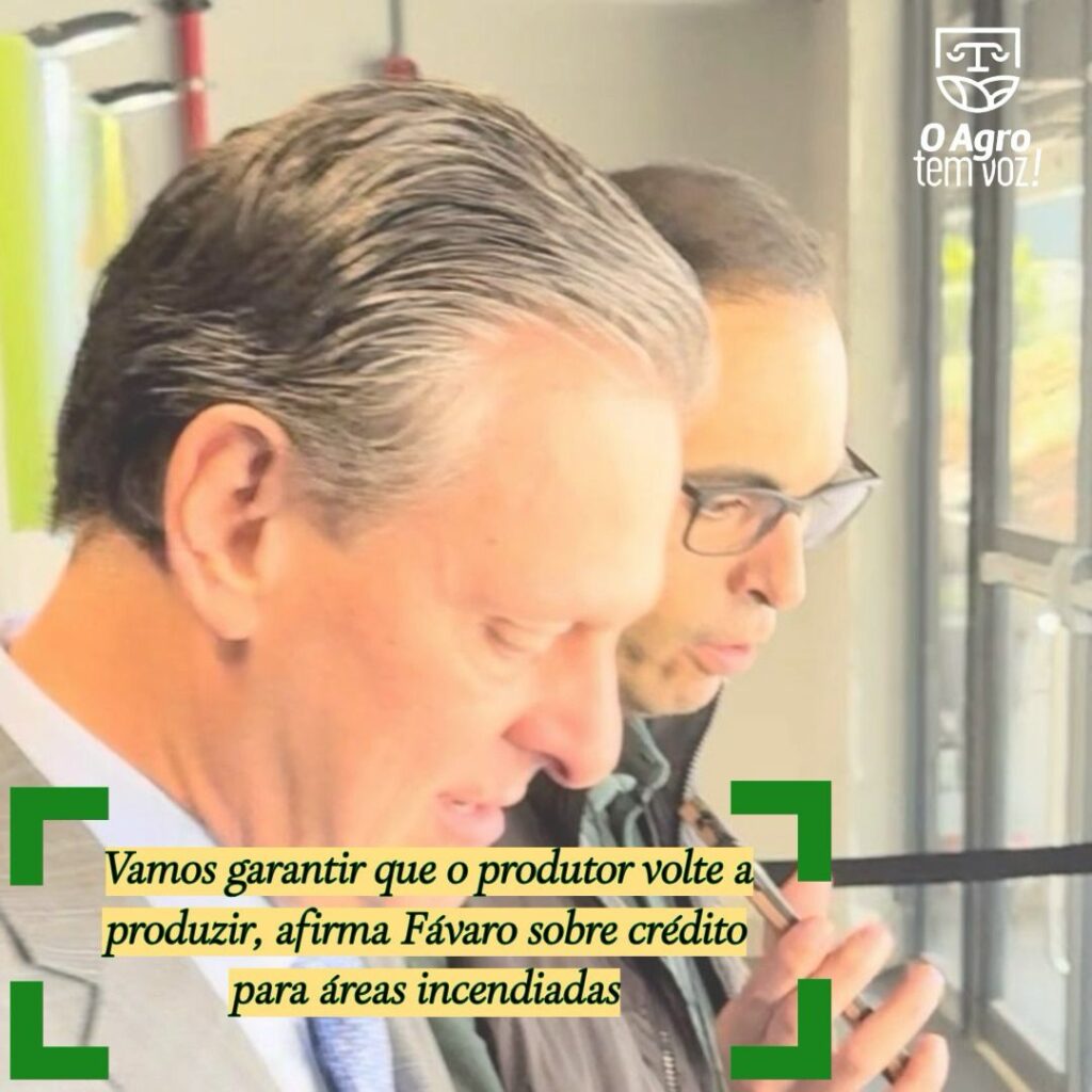 Apoio ao Produtor Rural: Crédito para Recuperação de Áreas Incendiadas